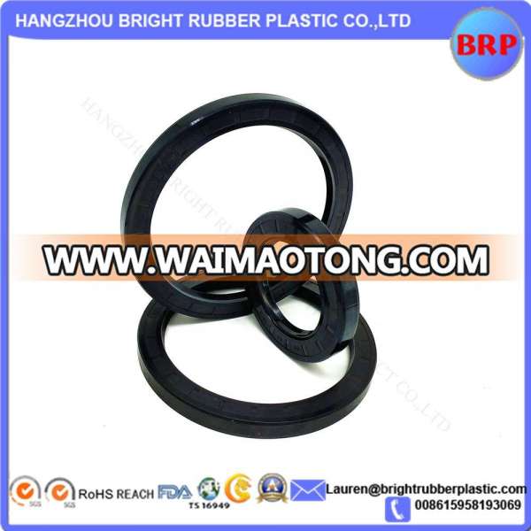 Double Lip Viton Rubber Metric Shaft Oil Seal with Spring